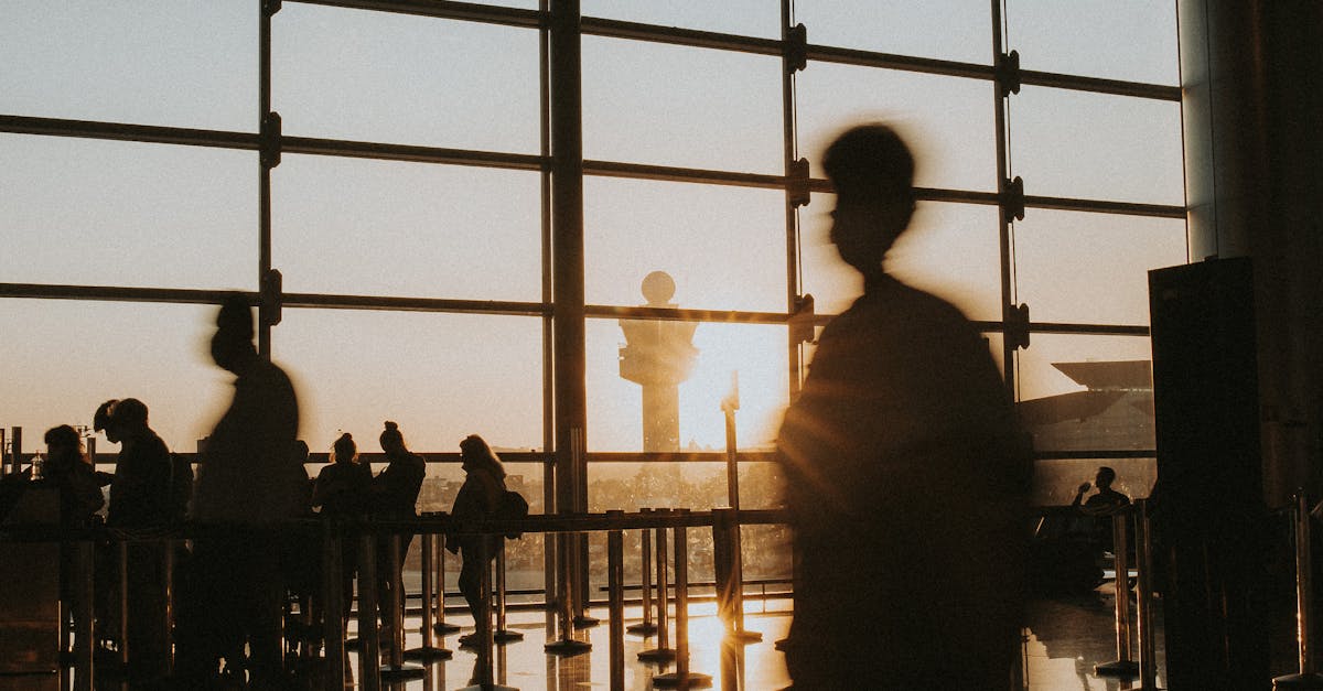 Exploring Mobile Apps for Convenient Online Transfer Booking