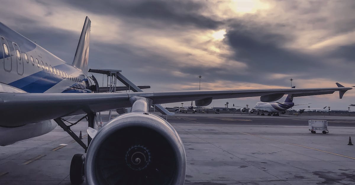 Midday Transfers: When to Choose This Option